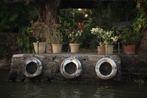 potted plants on a sea wall 
