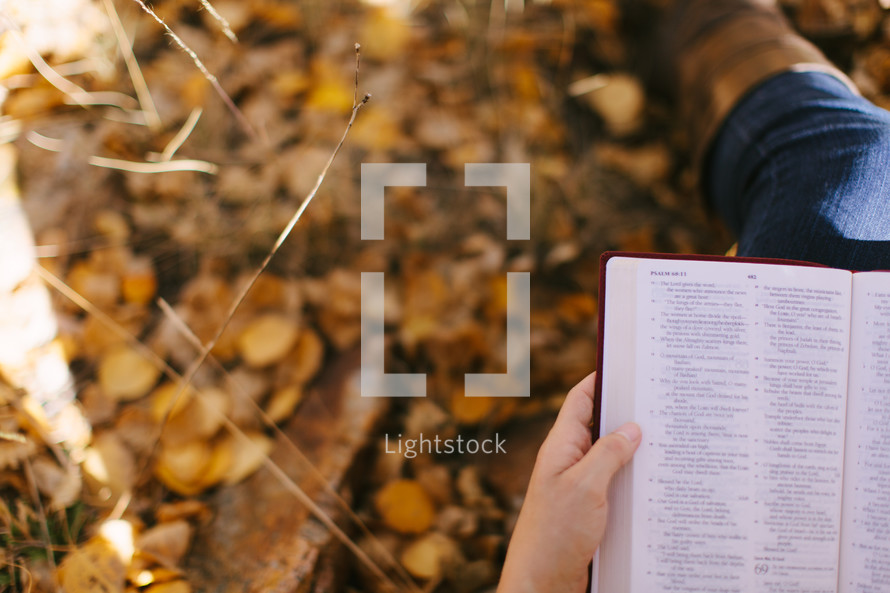 Holding bible open and reading in autumn 