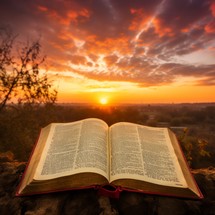 An open Bible rests on a rock, bathed in the warm, golden glow of the setting sun, symbolizing faith and divine connection