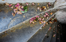 rose petals on steps 