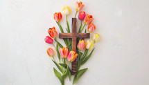 The cross surrounded by tulips