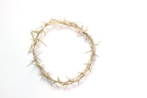 crown of thorns on white 