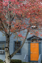 red fall leaves on a tree in front of a house 