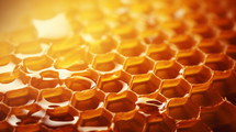 Close up of honeycomb with honey. 