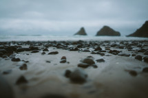 stones on wet sand along a shore 