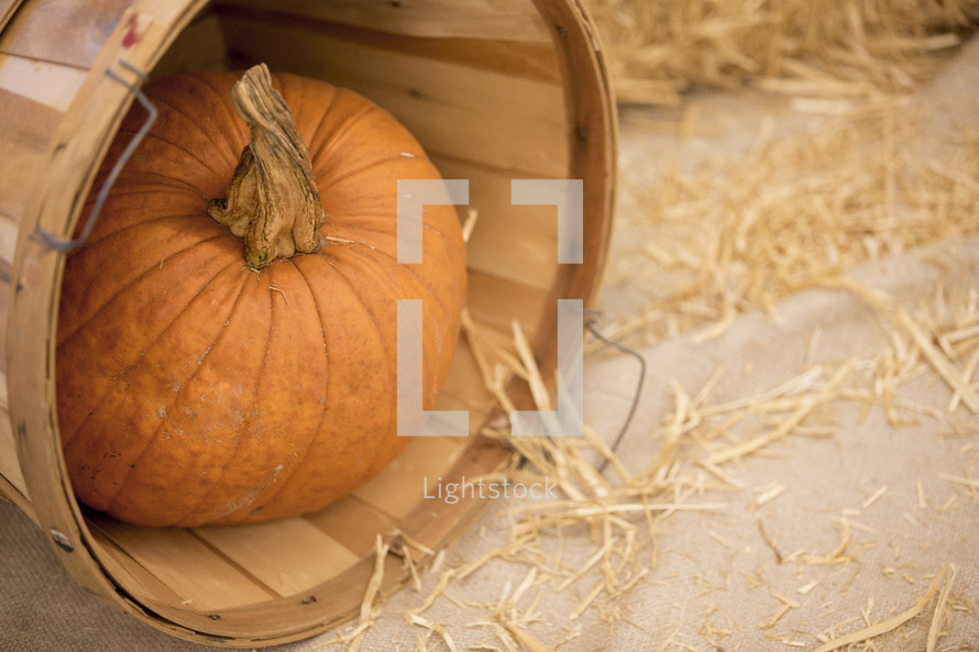 Pumpkin sitting in tilted basket surrounded by hay.