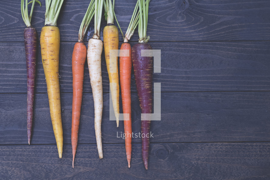 colorful carrots 