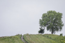 a worn path up a hill 