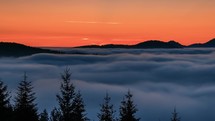 Mystic forest valley with foggy clouds fast motion in colorful morning nature before sunrise Time lapse
