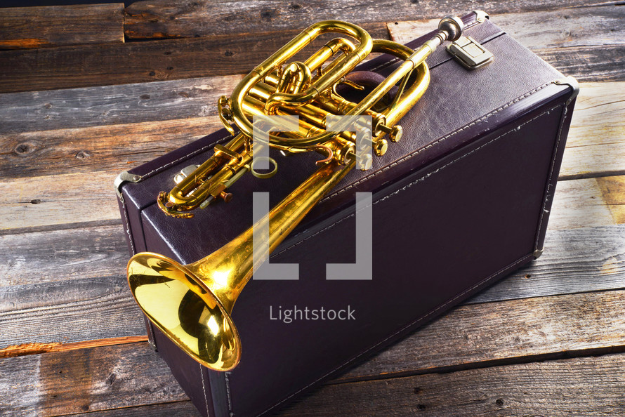 trumpet and trumpet case 