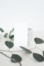 envelopes, bowl, and a twig with leaves on white background