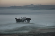 dense fog over farmland 