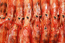 Close up fresh of raw red langoustines , Nephrops norvegicus, Norway lobster, Dublin Bay prawn or scampi