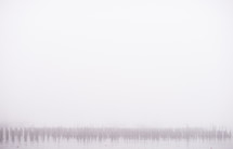 fog over water 
