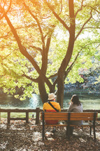 a couple sitting on a bench under a tree by a pond in a park 