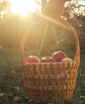 A woman carrying a basket of apples 