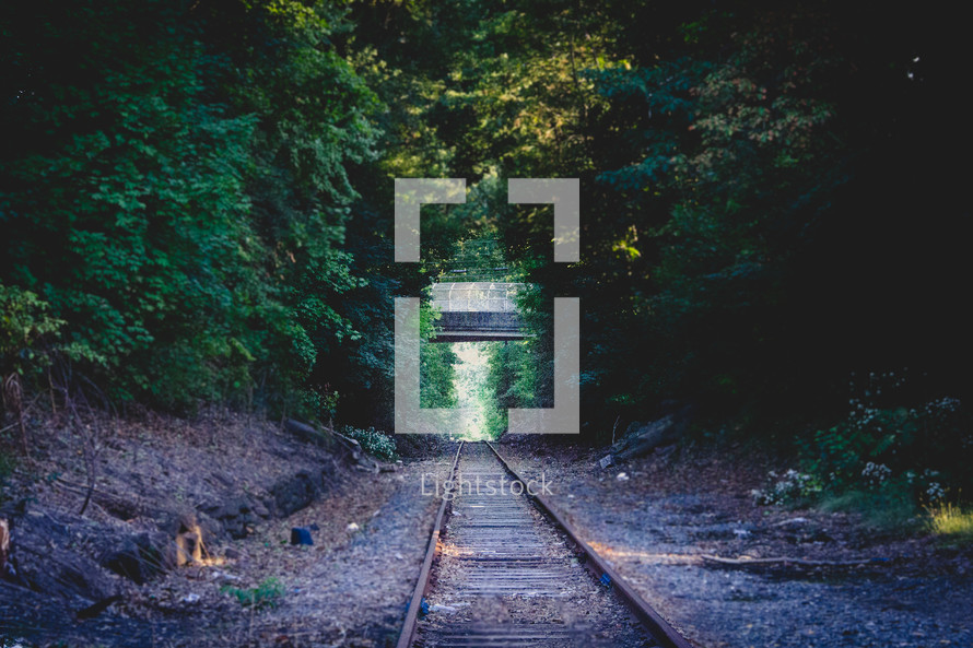 railroad track through a forest 