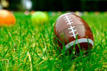football Easter egg in grass 