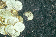 gold coins on dirt 