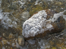 salt on rocks at the Dead Sea