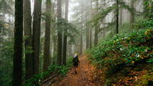 hiker on a forest trail 