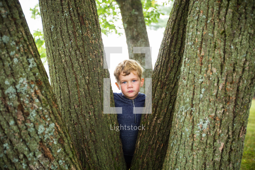 child hiding behind a tree