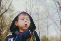 boy blowing a dandelion 