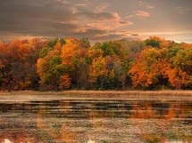 autumn trees around a lake shore at sunset 