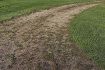 worn path on grass