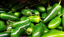 Green Peppers on display at a produce stand ripe and ready to eat and be added to a healthy salad, tacos, barbecue or anything to add some food value. 