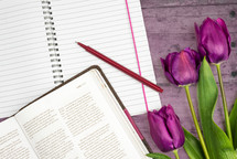 notebook, open notebook, pen, open Bible, Bible, tulips, spring, Bible study