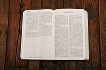 Scripture Titles - Exodus