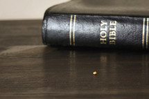 Holy Bible spine and mustard seed