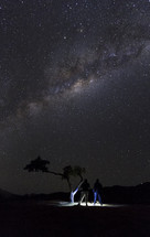 milky way and stars in the night sky 