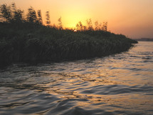 tall grasses along the shore of the Nile River at sunset 
