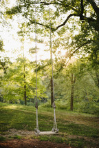 Empty tree swing on a county hill