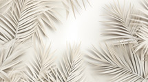 White palm leaves on white background.