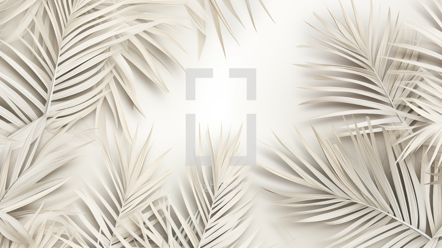 White palm leaves on white background.