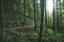 men backpacking through a forest 