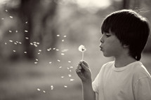 Little boy blows a dandelion 