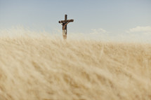 Jesus hanging on a cross in a field