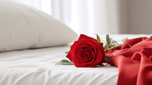 Closeup of a red rose on a bed. Romantic love concept. 