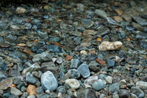stones on the ground 