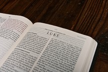 Scripture Titles - Luke