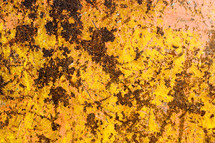 yellow rust on a steel wall