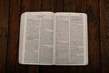Scripture Titles - John