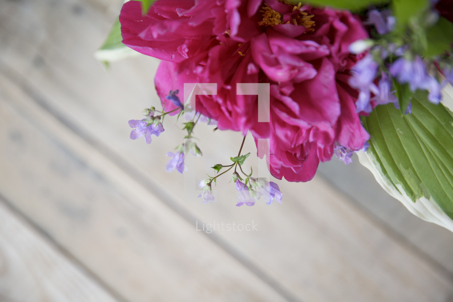 fuchsia flowers in a vase on a wood table 