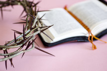 Bible and crown of thorns on a pink background 
