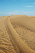 tracks on sand dunes 
