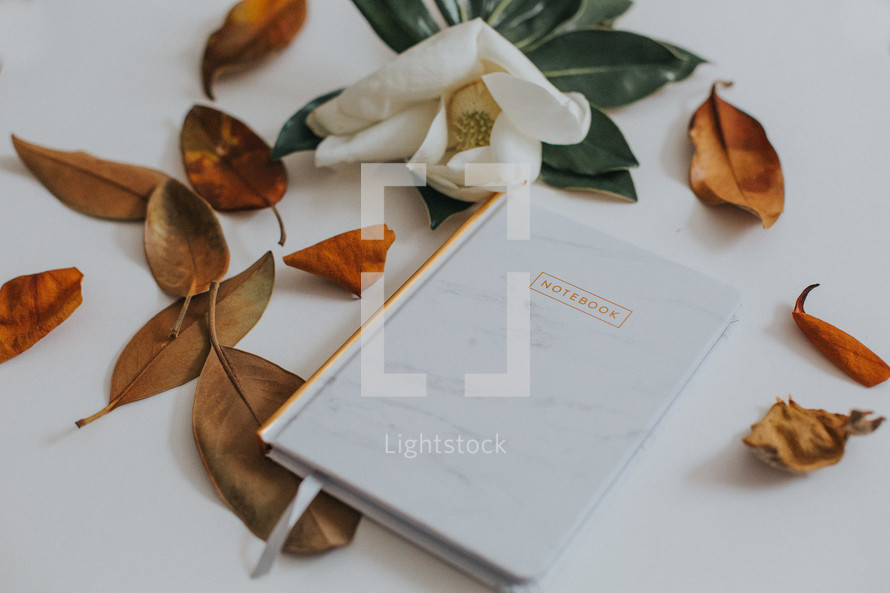 magnolia flower and notebook 